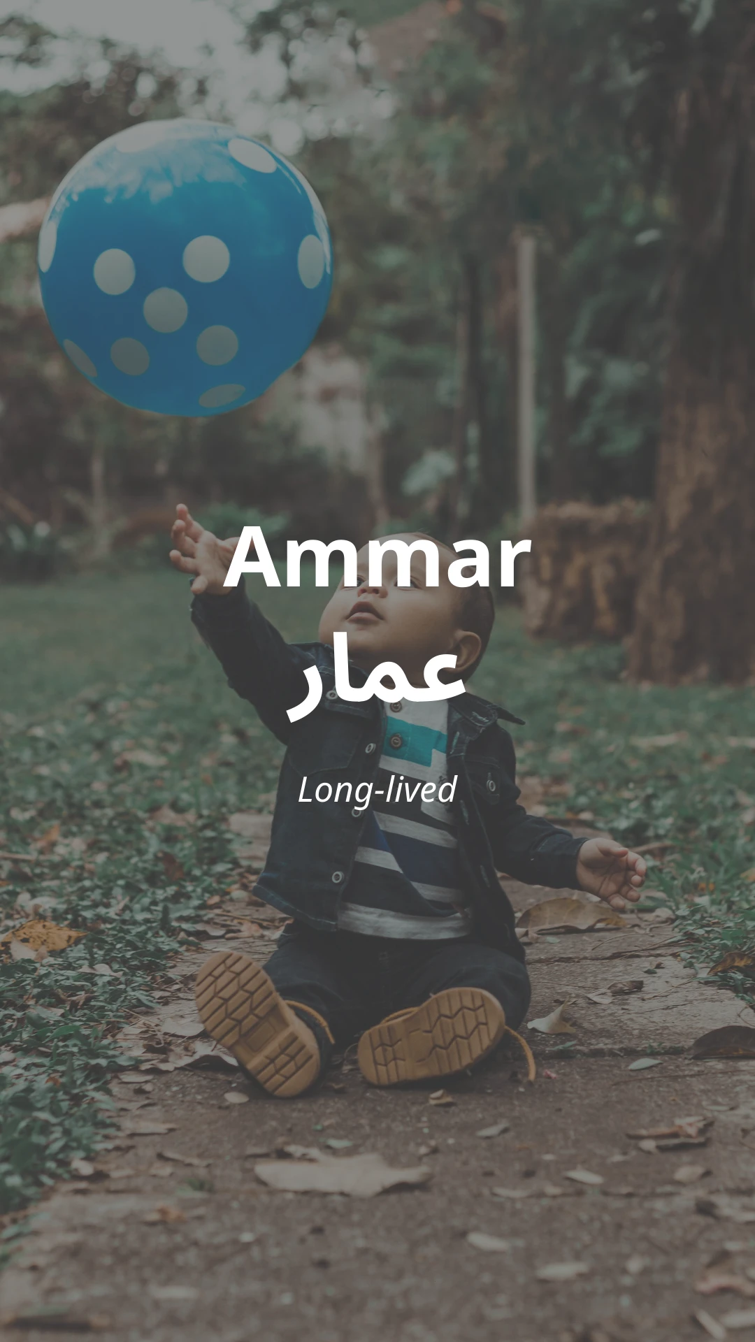 Ammar