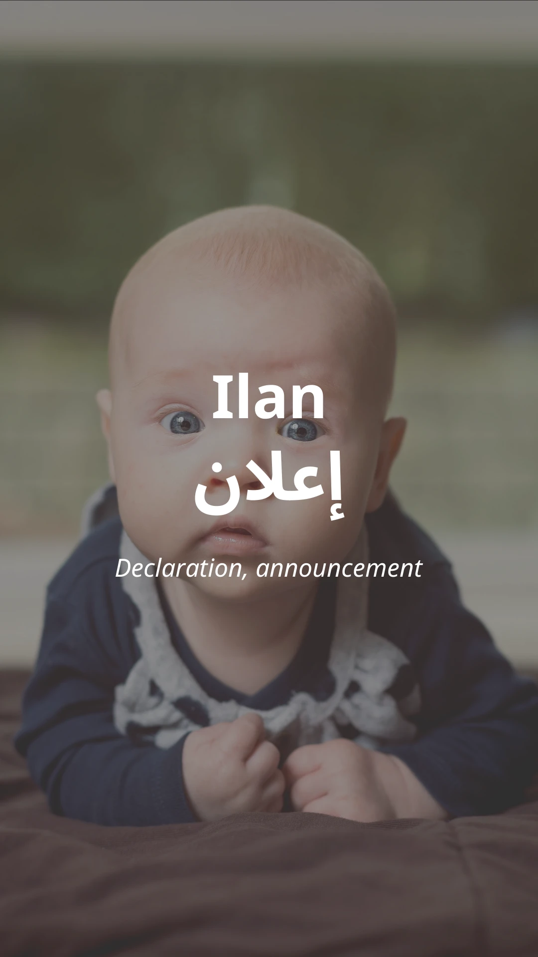 Ilan