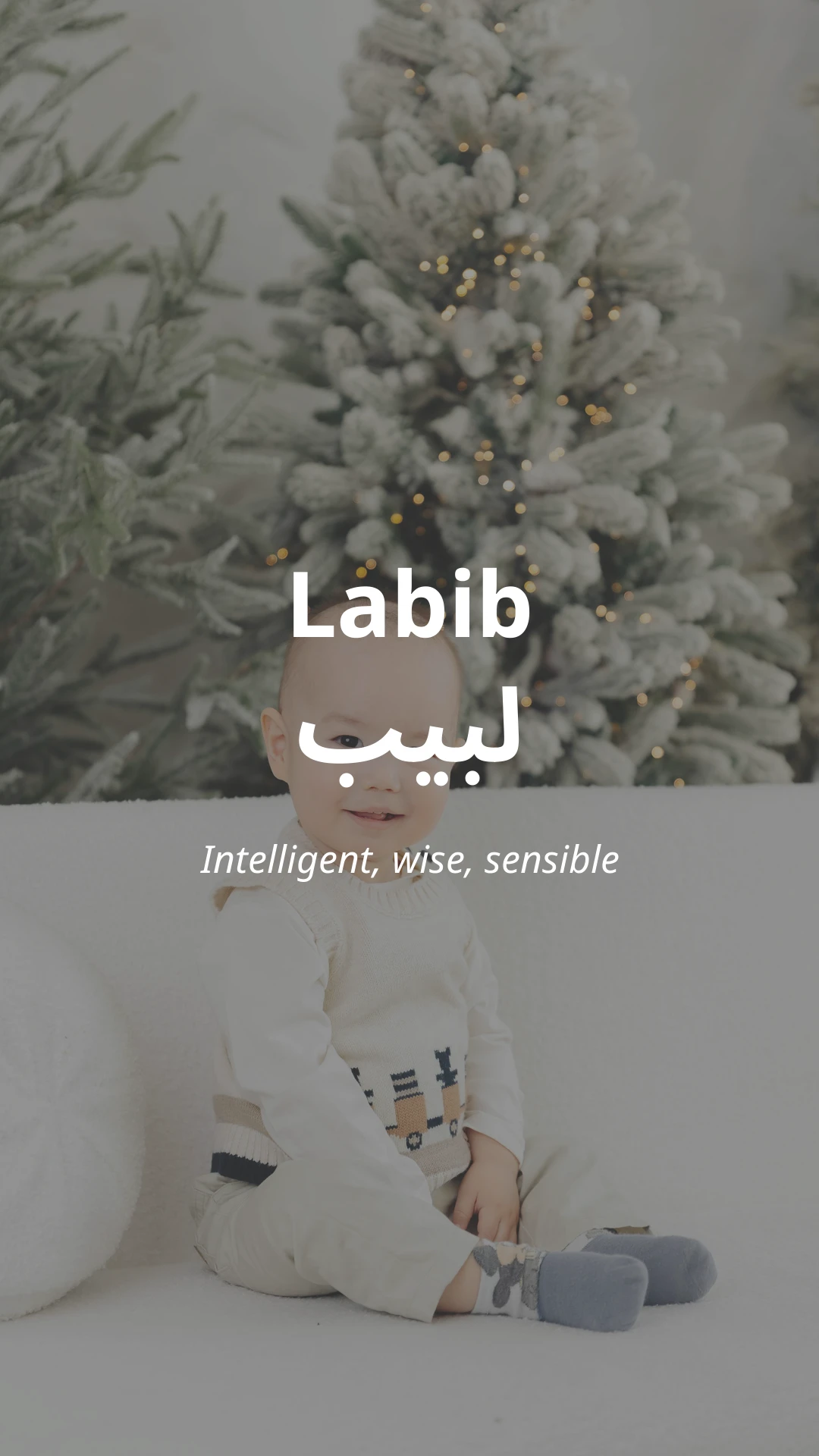 Labib