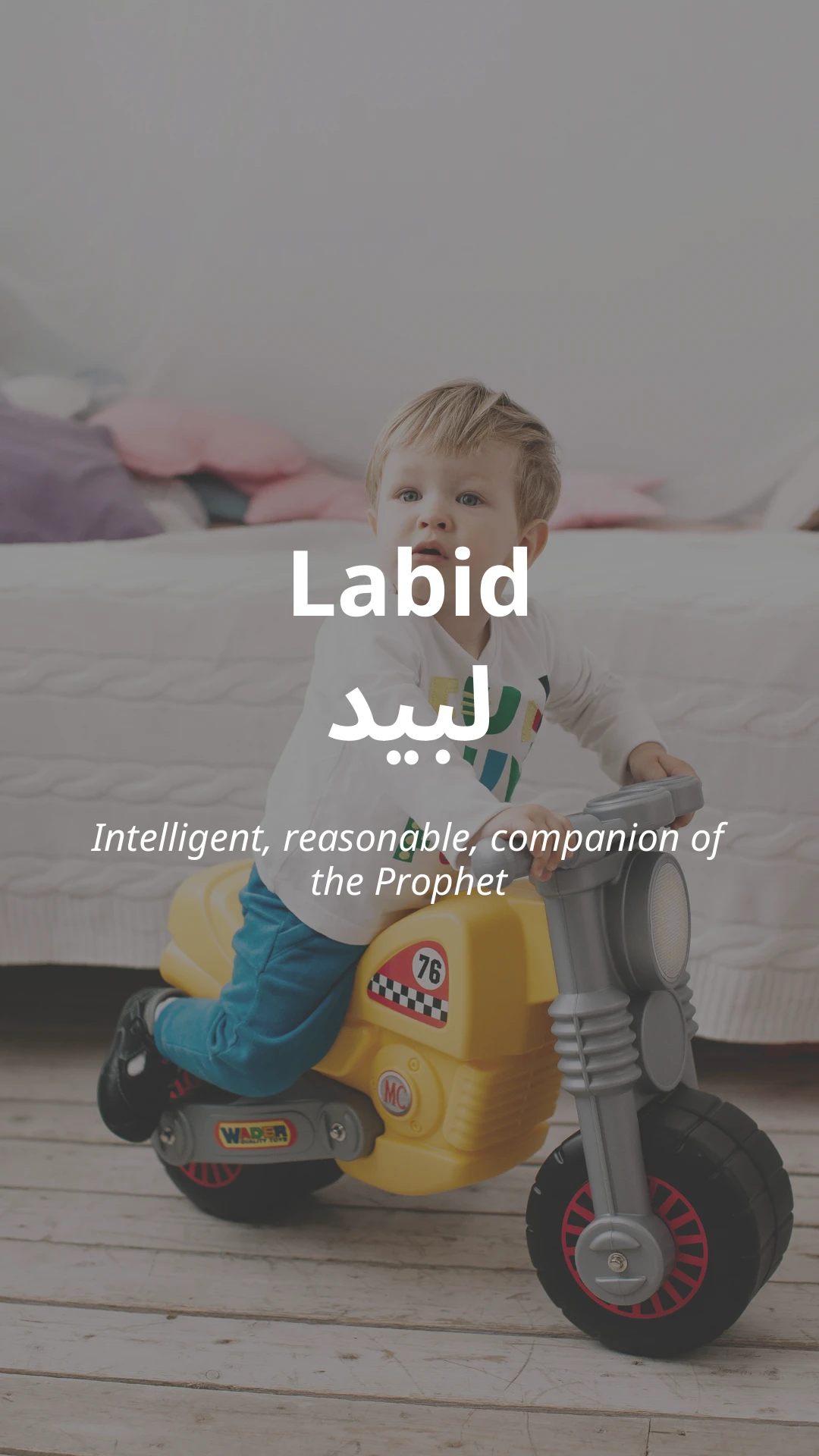 Labid
