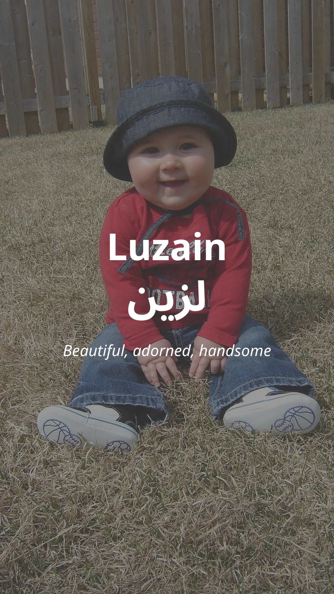 Luzain