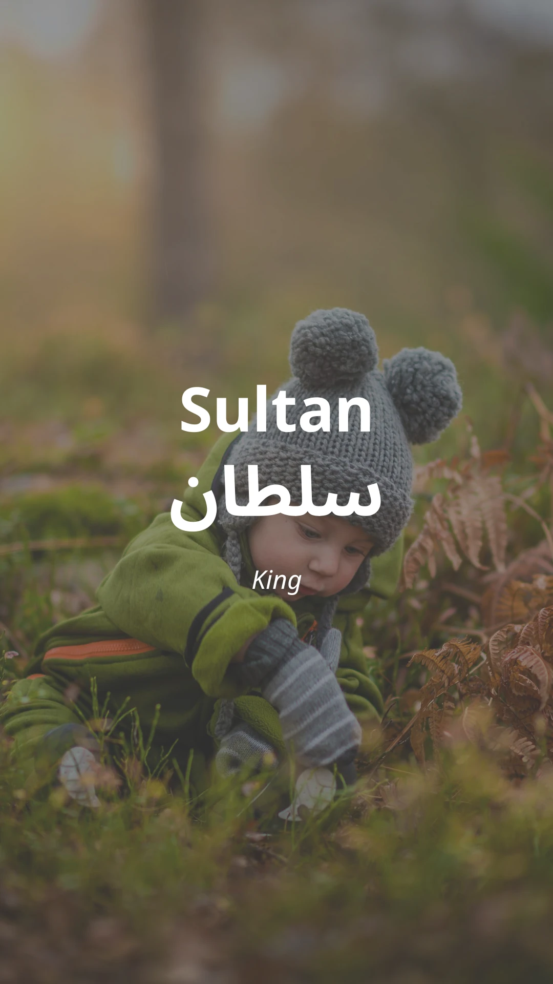 Sultan