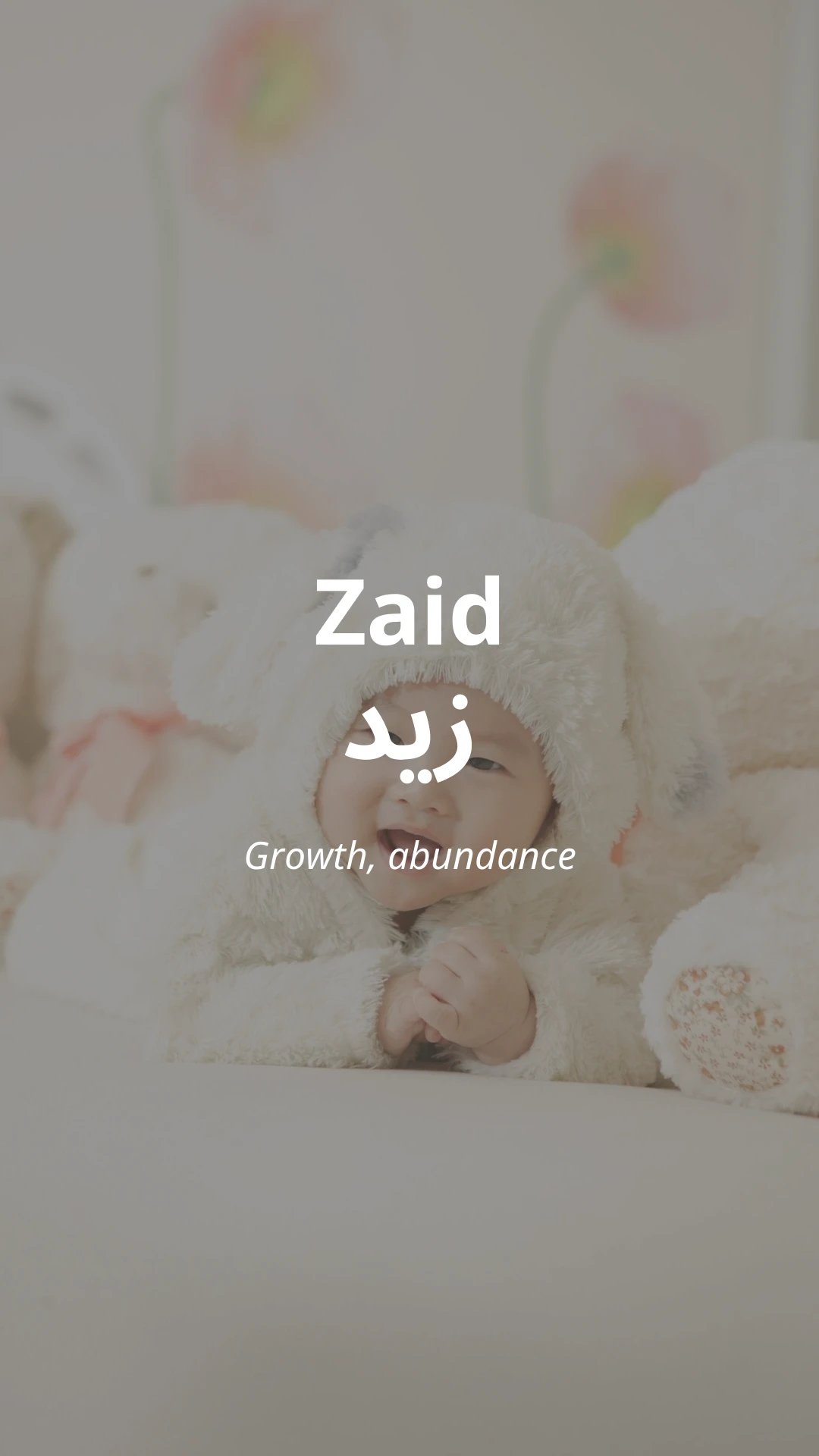 Zaid