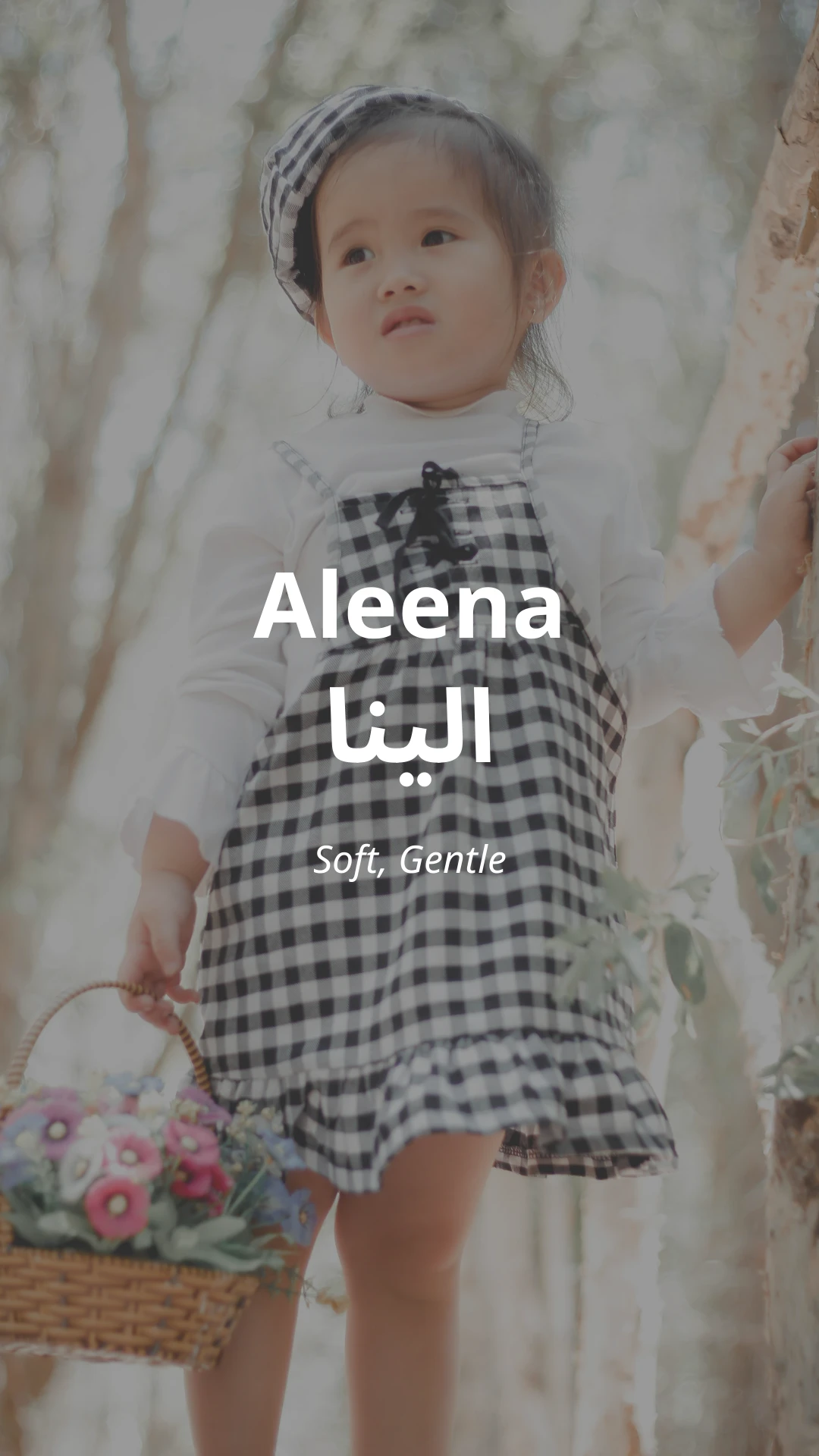 Aleena