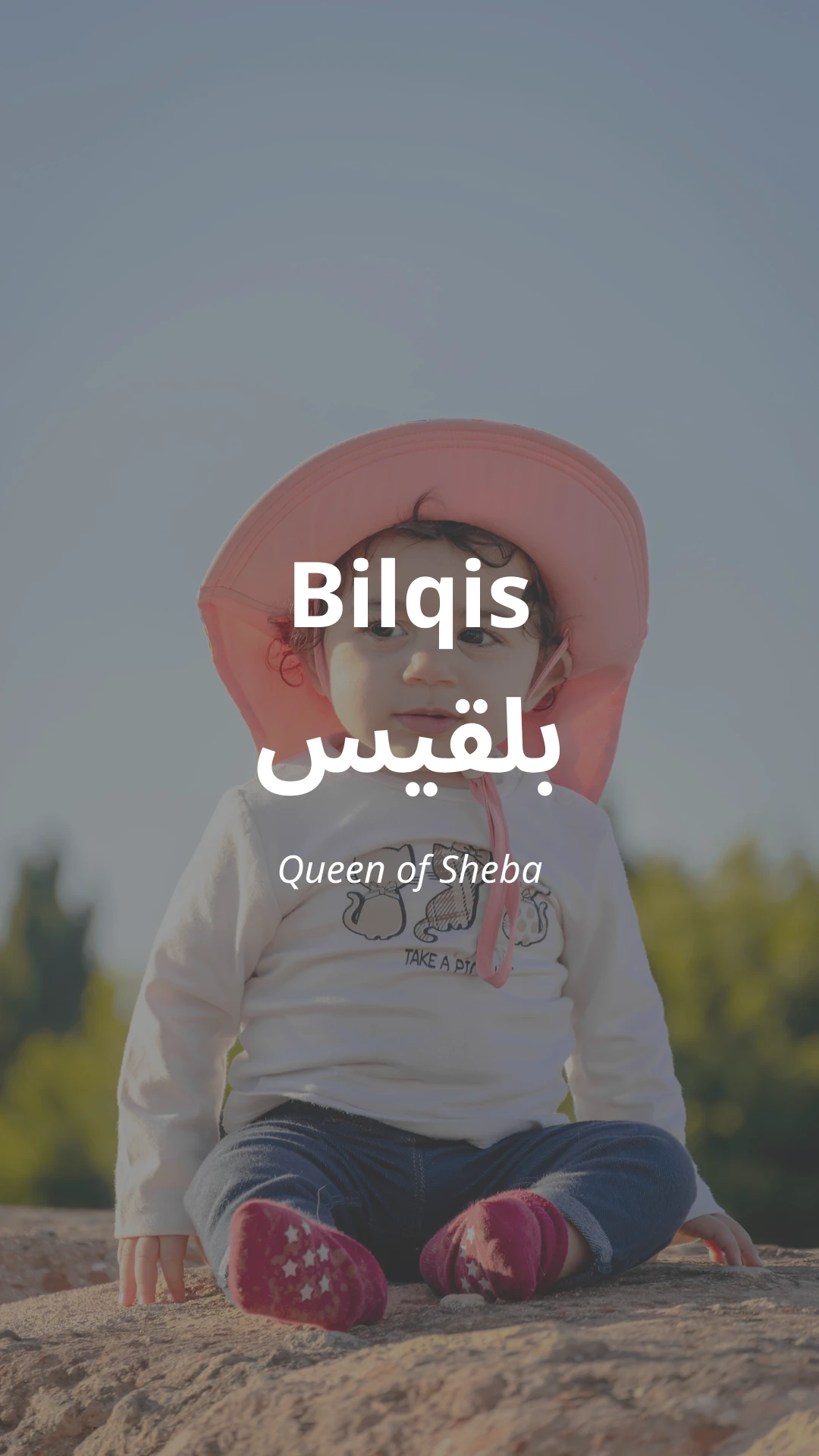 Bilqis