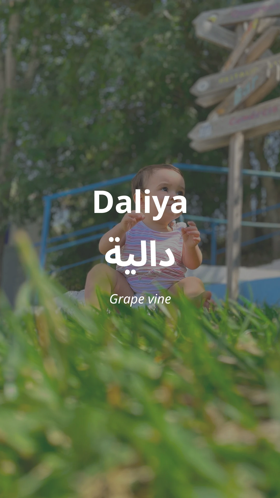 Daliya