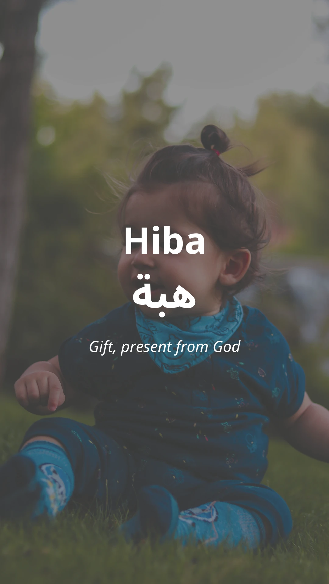 Hiba
