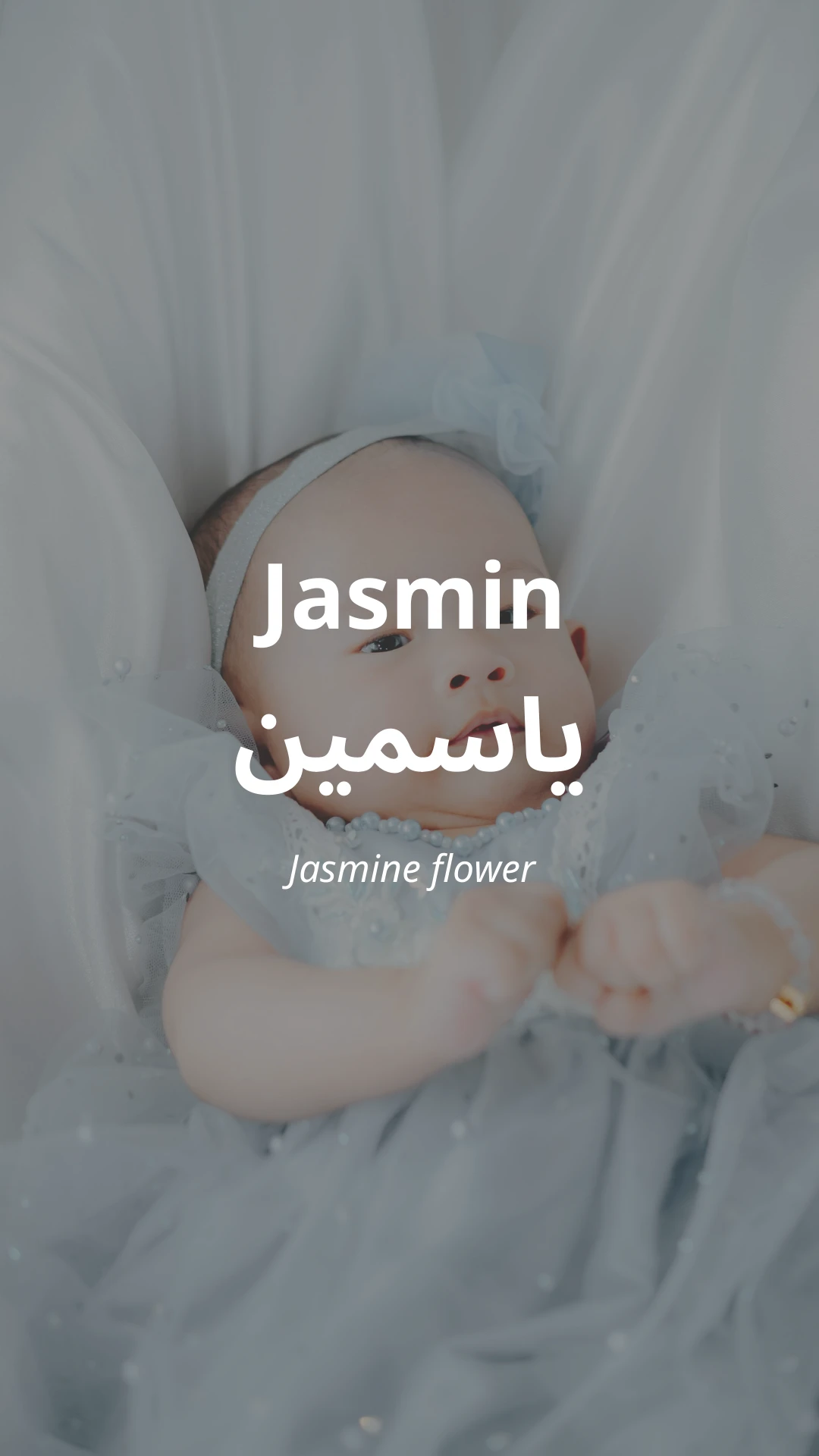 Jasmin